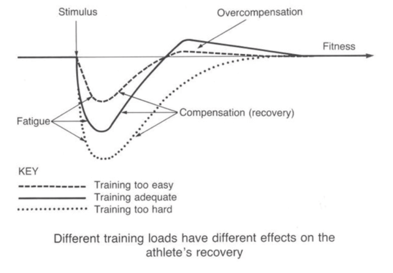 Overcompensate перевод. Practical Programming for strength Training. Сверхкомпенсации картинки. Adaptation and compensation. Recovery of compensation.